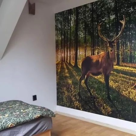 Erdei Vadaszhaz Medencevel, Jakuzzival